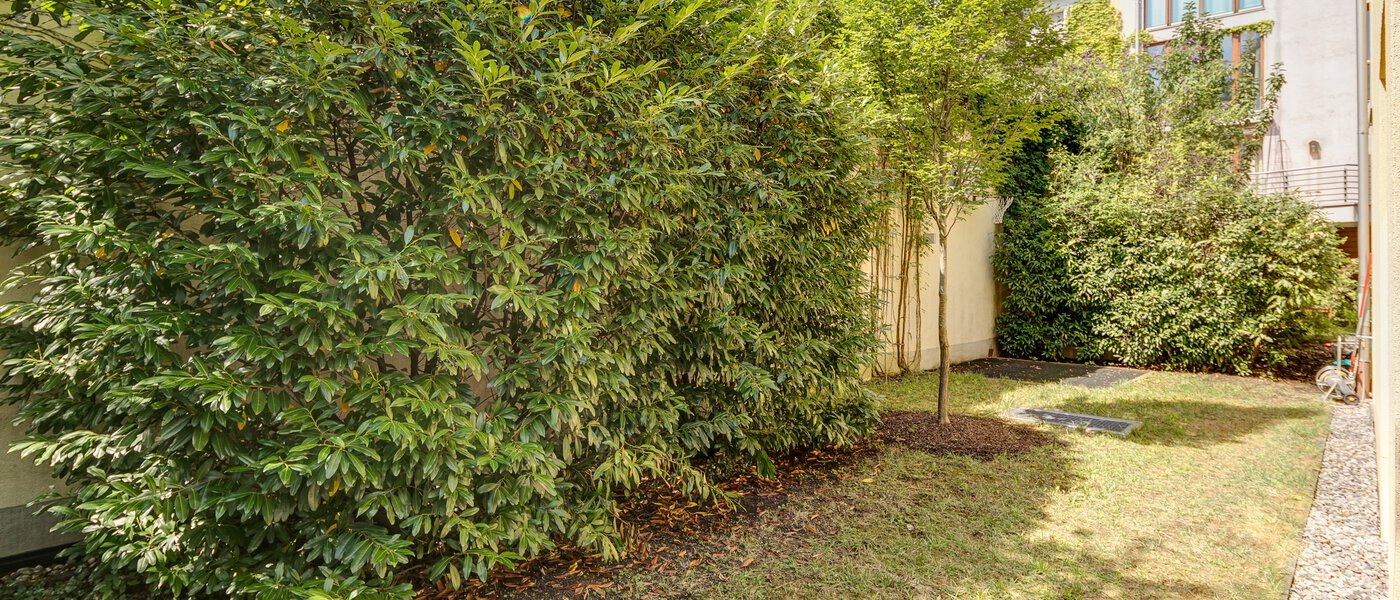 ikerház München Schwabing (links der Leopoldstraße) 02 Kert 3396