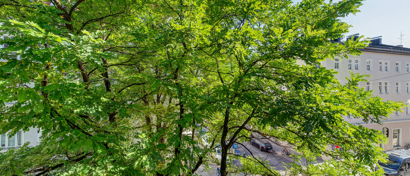 플랫 München Maxvorstadt - Universitätsviertel 01 보기 3592