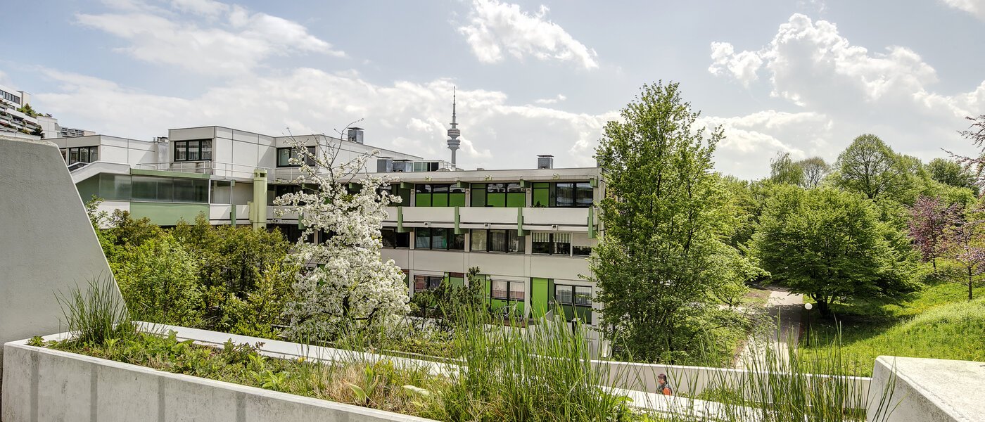 Lapos München Olympiadorf 01 A  megtekintése 3688