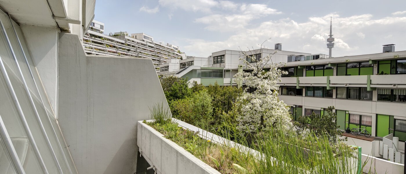 Lapos München Olympiadorf 02 A  megtekintése 3688