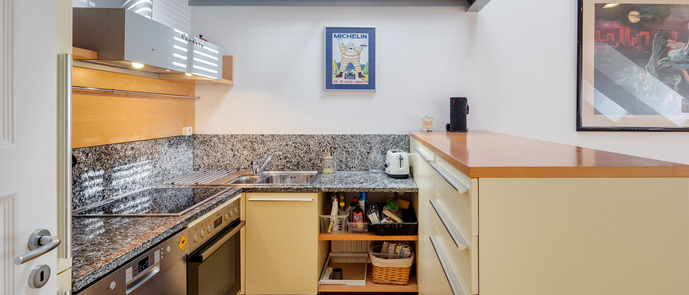 Düz München Gärtnerplatzviertel 01 Mutfak 3714