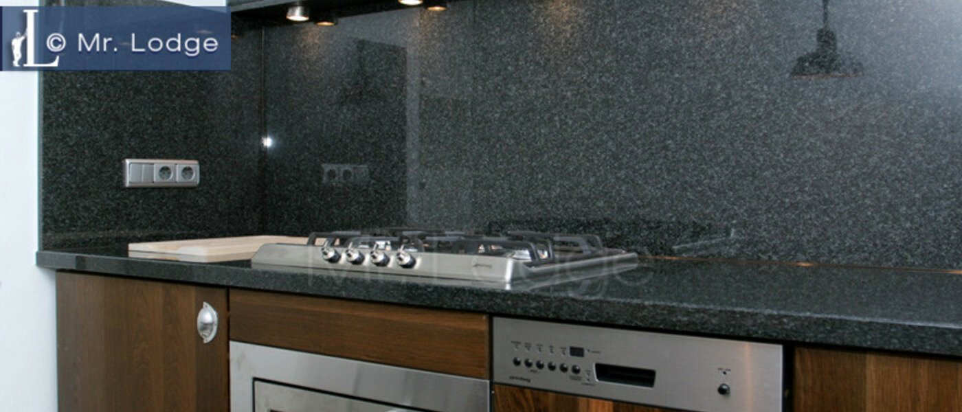 플랫 München Maxvorstadt - Museumsviertel 02 주방 3843