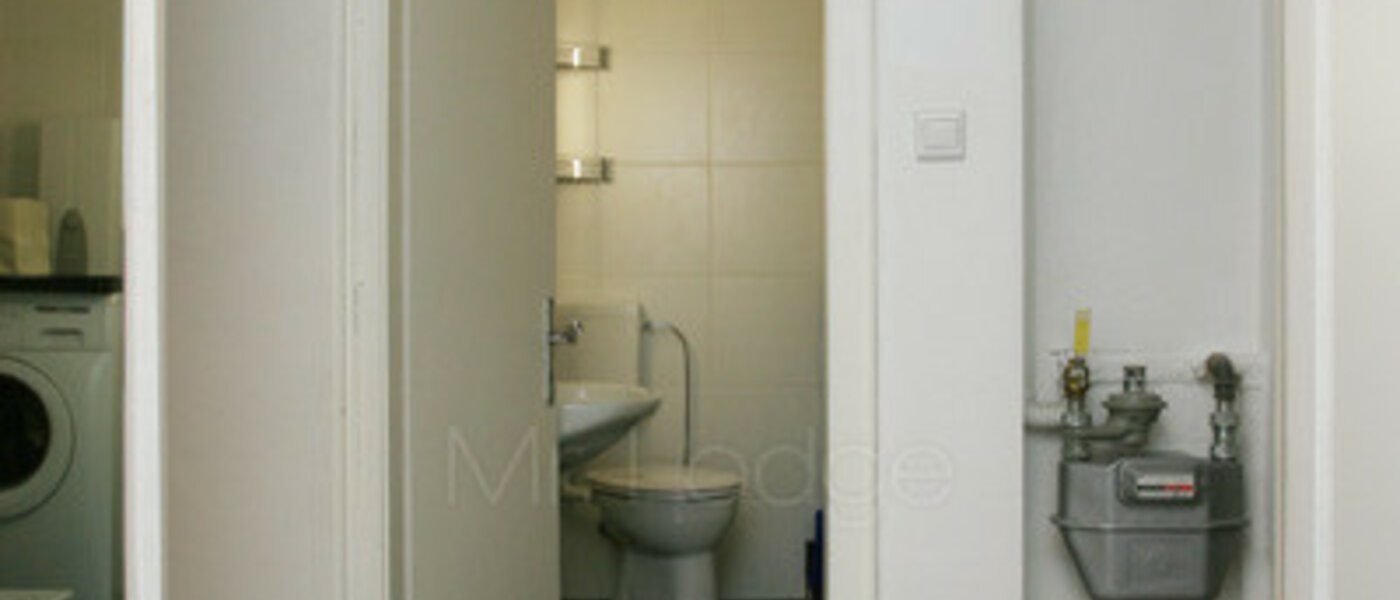 플랫 München Maxvorstadt - Museumsviertel 01 복도/복도 3843