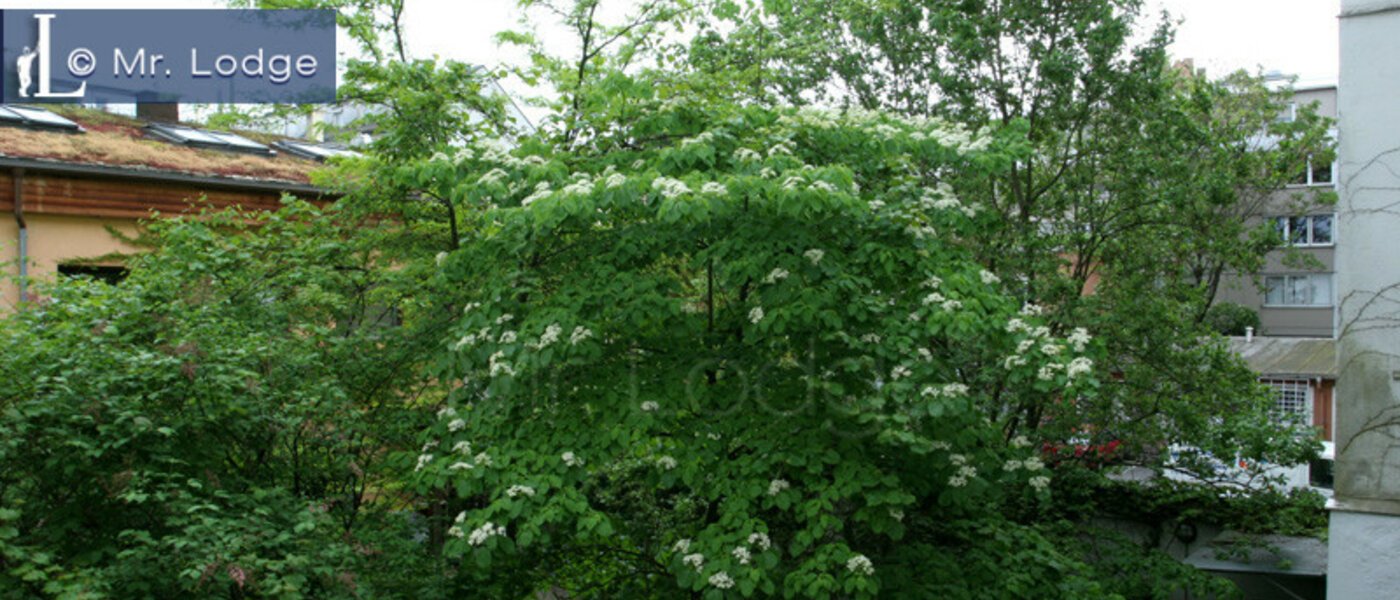 플랫 München Maxvorstadt - Museumsviertel 05 보기 3843