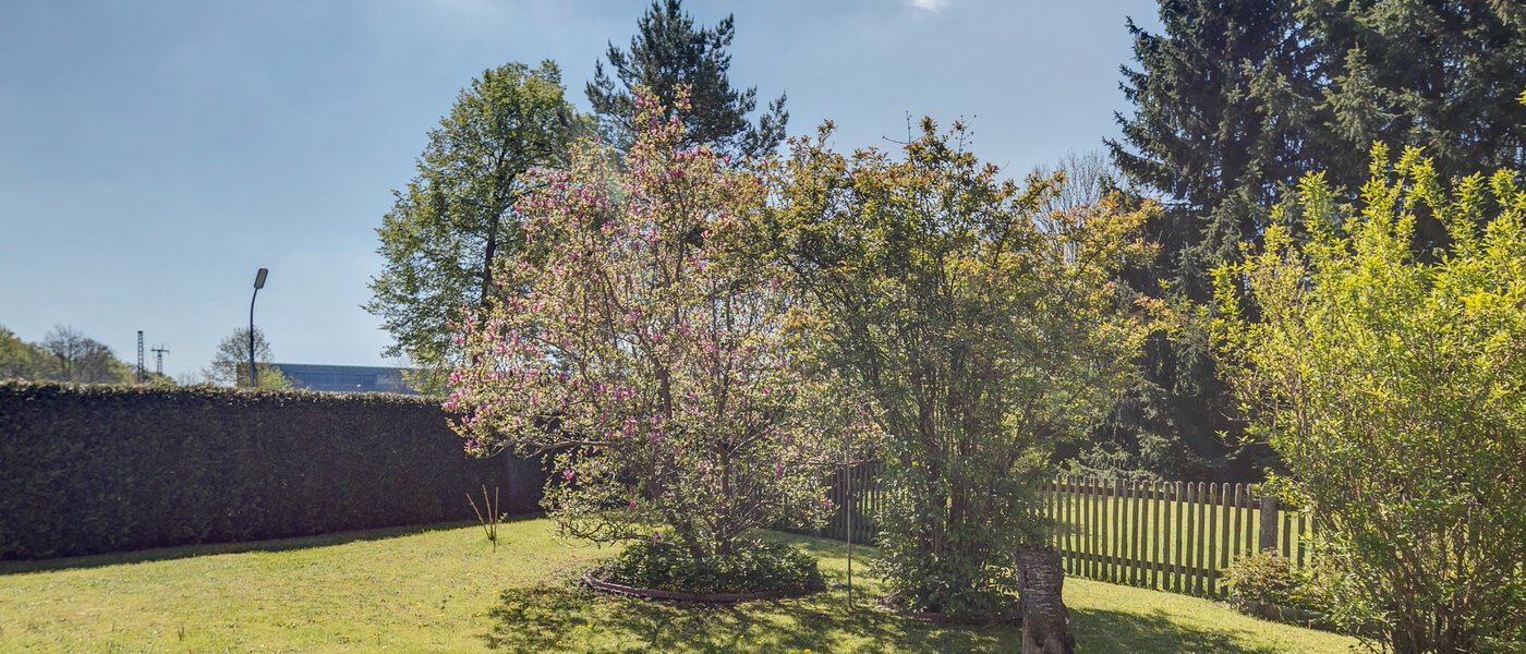 플랫 München Moosach 01 정원 402