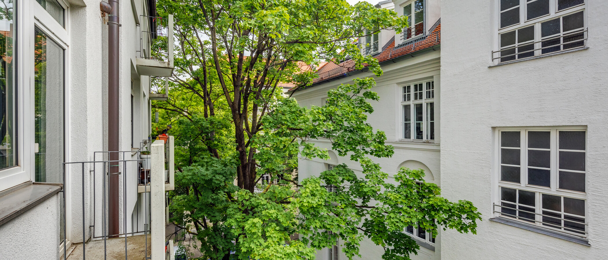 Düz München Schwabing-West (rund um den Hohenzollernplatz) 01 Görünüm 4086