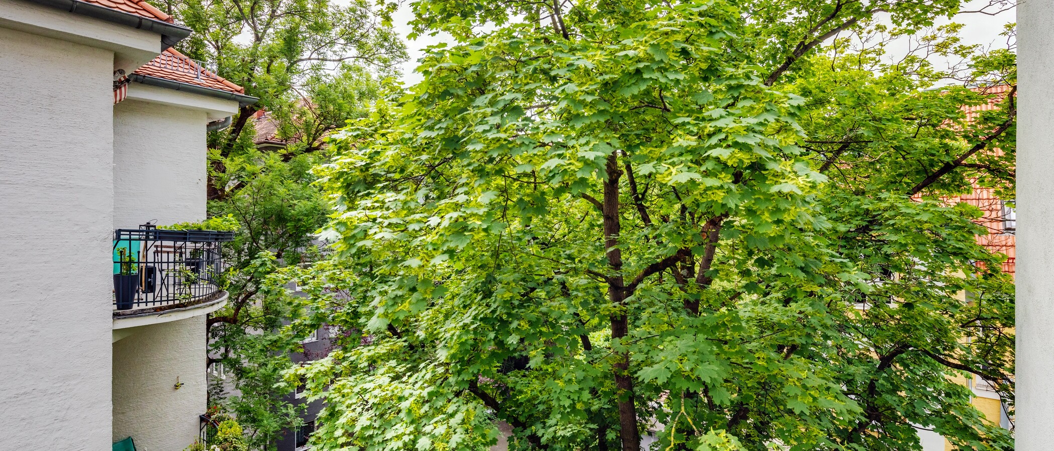 Düz München Schwabing-West (rund um den Hohenzollernplatz) 02 Görünüm 4086
