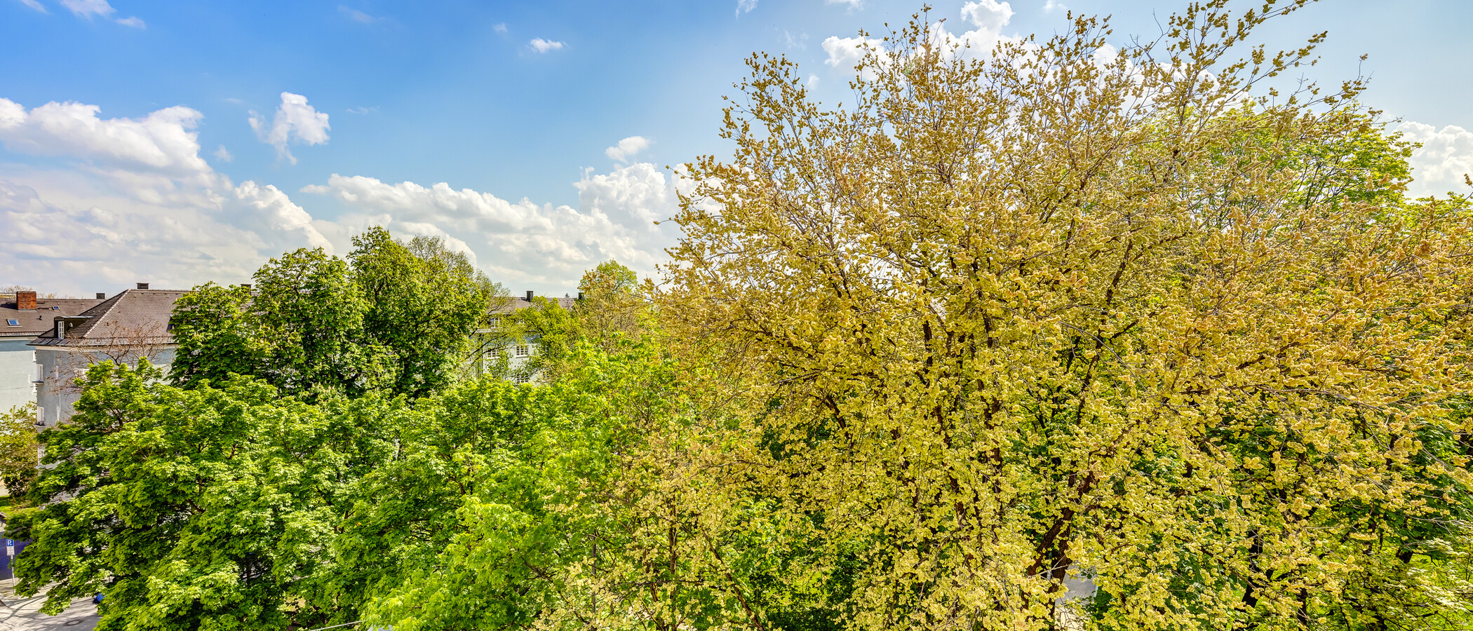 Loftslejlighed München Obergiesing 02 Udsigt 4141