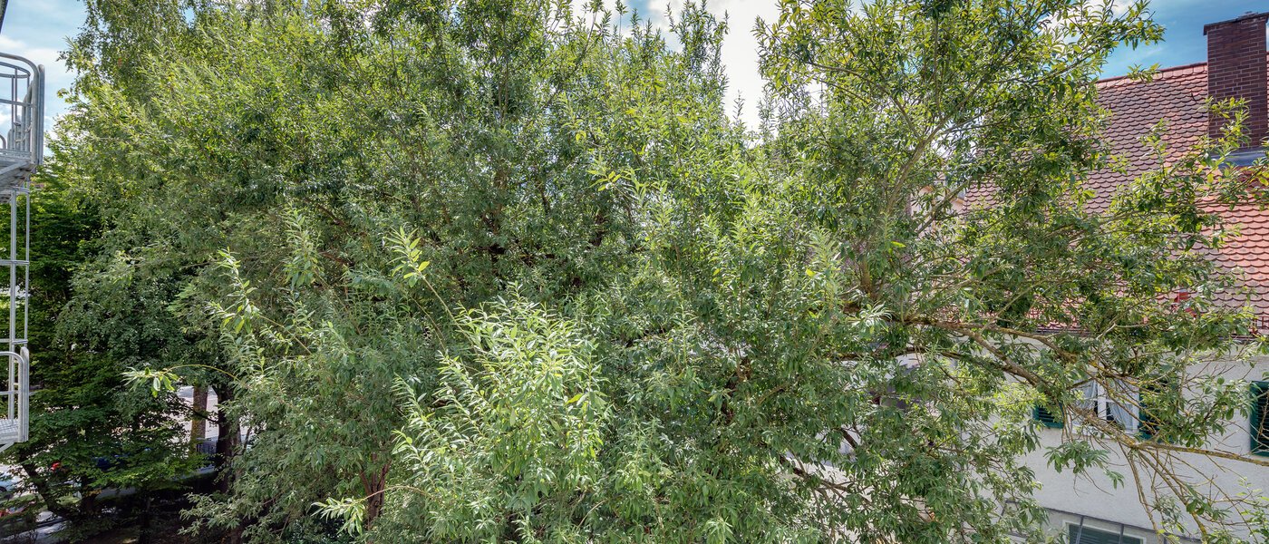 Ploché München Giesing 02 Zobraziť 4372