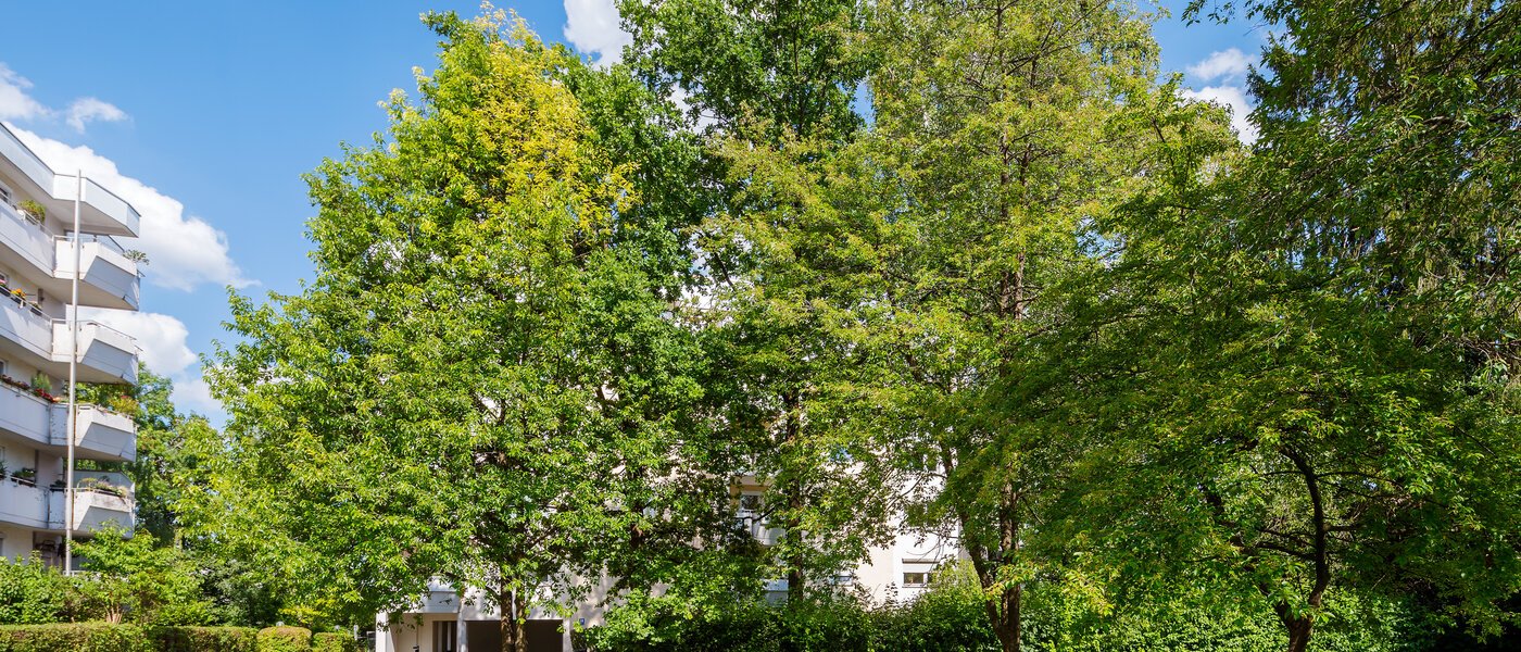 Plano München Sendling-Westpark 02 Pátio interior 4419