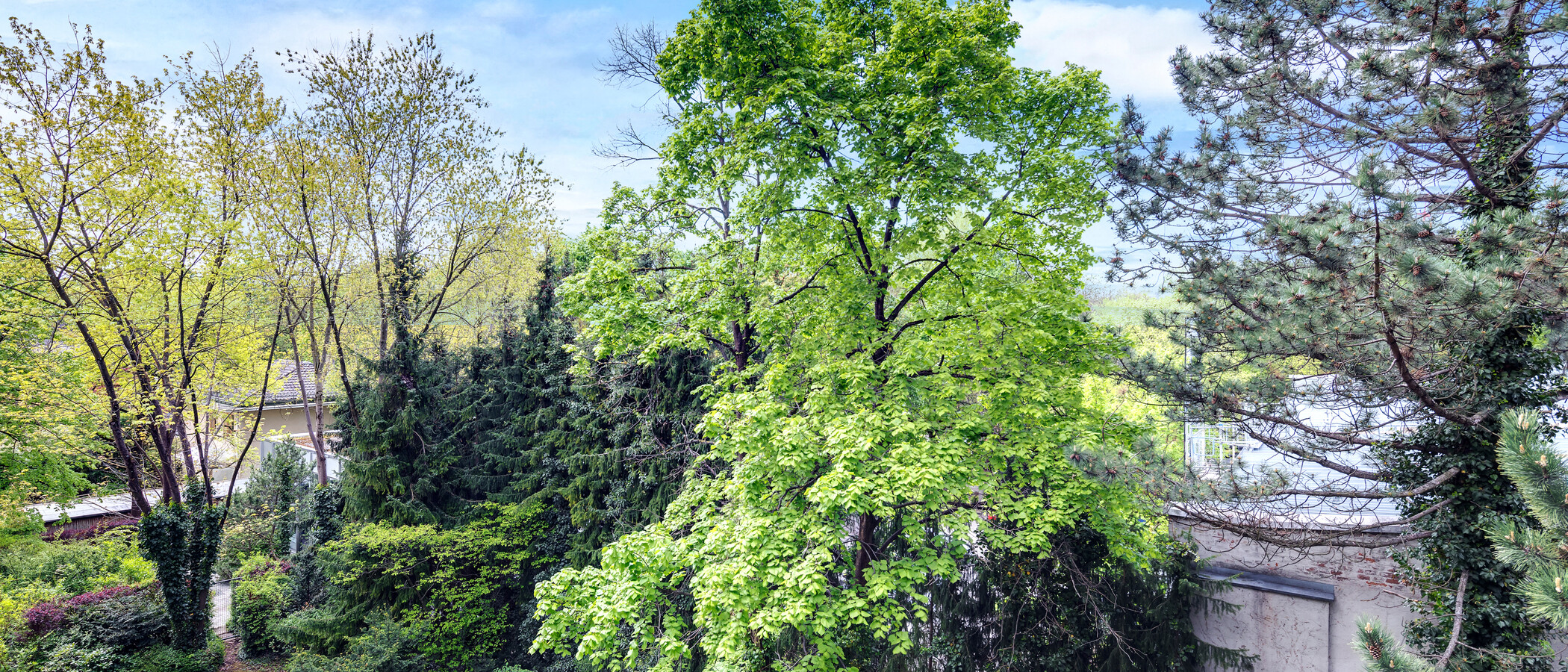 Ploché München Schwabing-Nord (zw. Leopoldstraße & Englischen Garten) 01 Zobrazit 4452