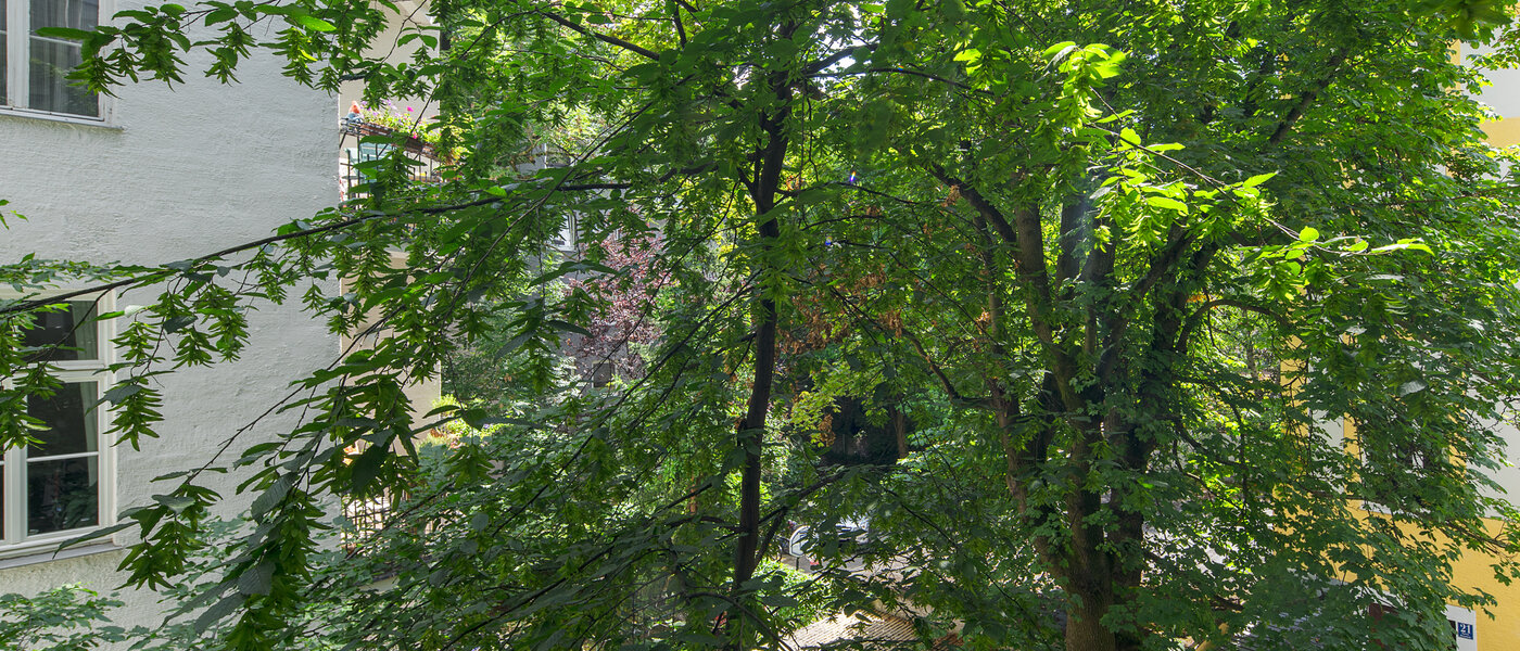 Plano München Schwabing-West (rund um den Hohenzollernplatz) 02 Ver 4507