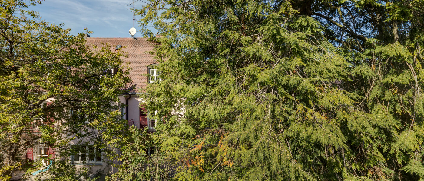 Flad München Nymphenburg-Gern 02 Udsigt 4670