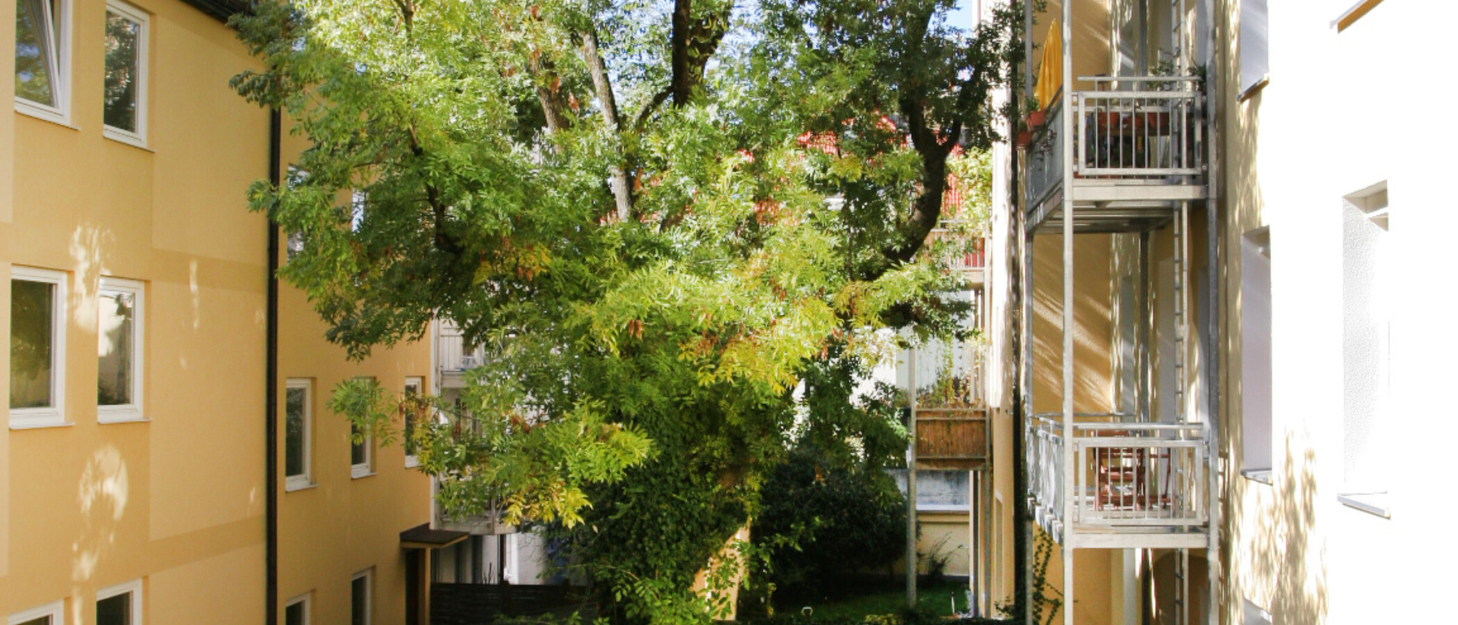 Mieszkanie z tarasem na dachu München Westend 01 Widok 4763