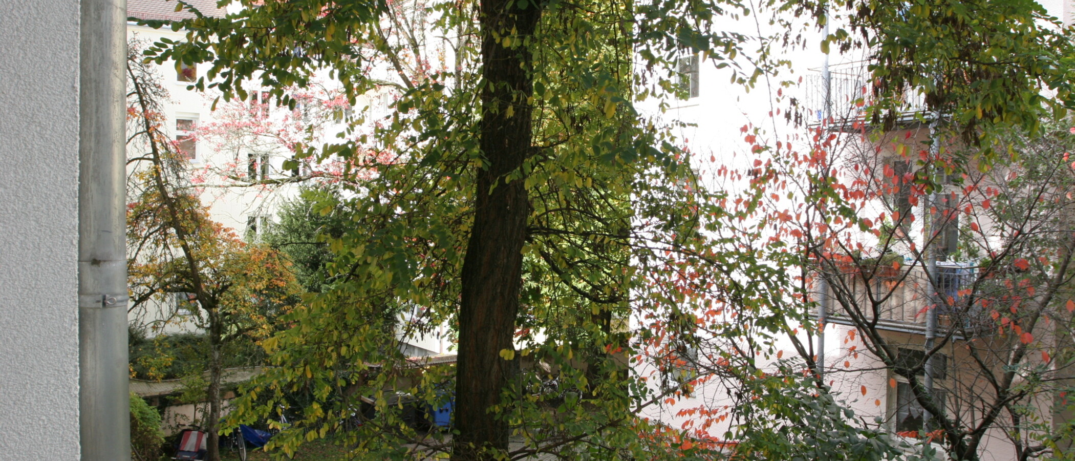 Mieszkanie z tarasem na dachu München Westend 03 Widok 4763