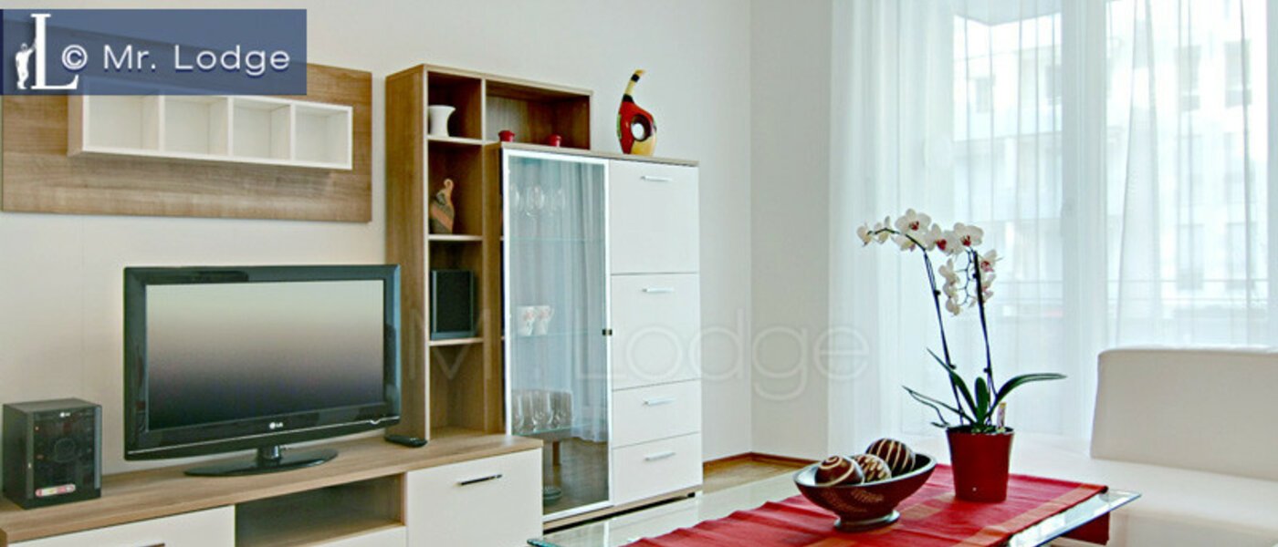 Επίπεδη München Maxvorstadt - Westen 02 Ζώντας 4883