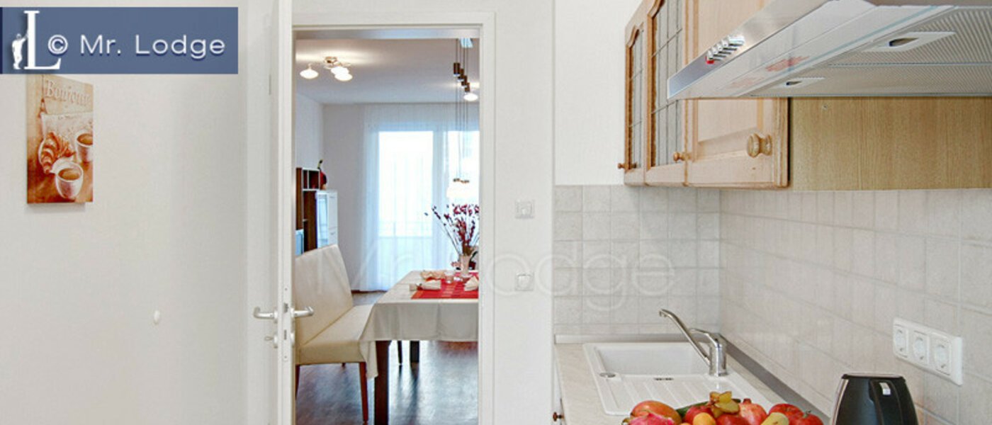 Επίπεδη München Maxvorstadt - Westen 02 Κουζίνα 4883