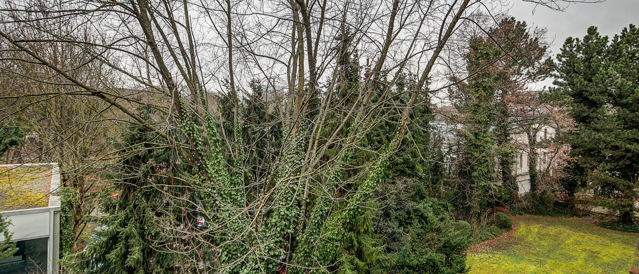 Επίπεδη München Schwabing-Nord (zw. Leopoldstraße & Englischen Garten) 03 Προβολή 4892