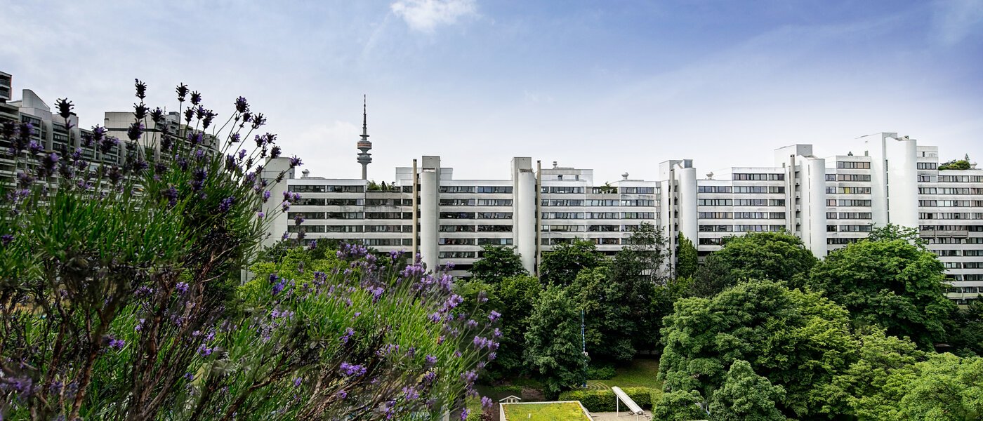 Ploché München Olympiadorf 02 Zobrazit 5242