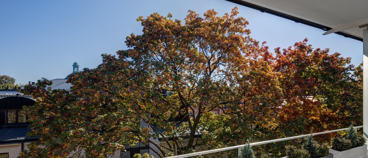 Plat München Schwabing (links der Leopoldstraße) 02 Bekijk 5263