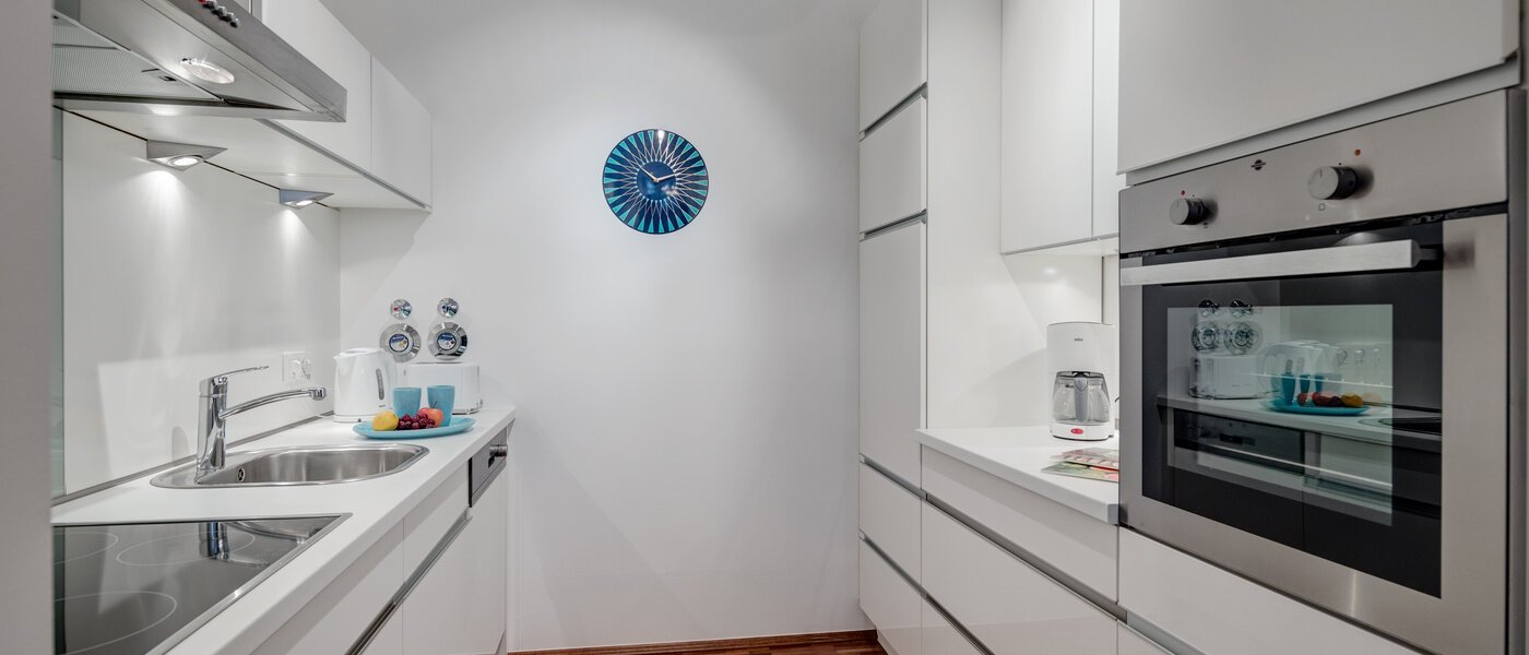 Ravna stran München Isarvorstadt 01 Kuhinja 5280