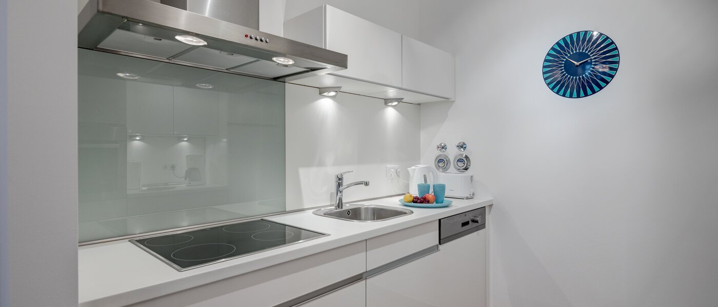 Ravna stran München Isarvorstadt 02 Kuhinja 5280