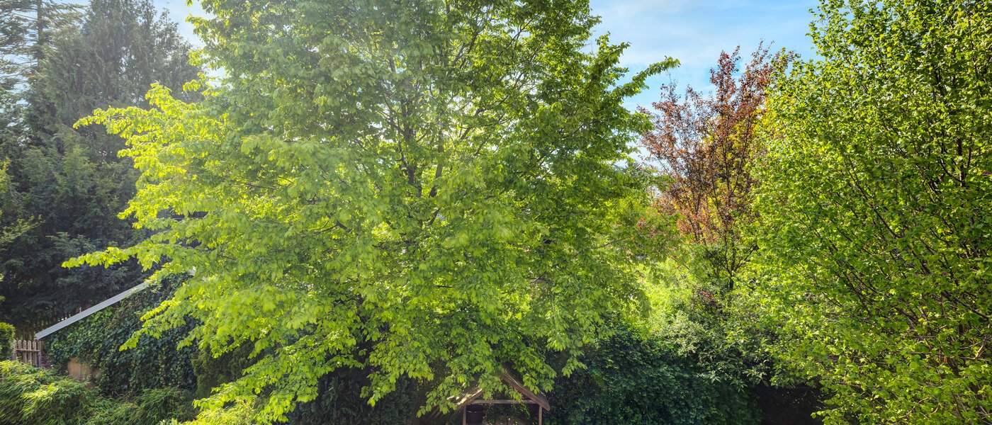 Sorház München Westpark 02 A  megtekintése 5296