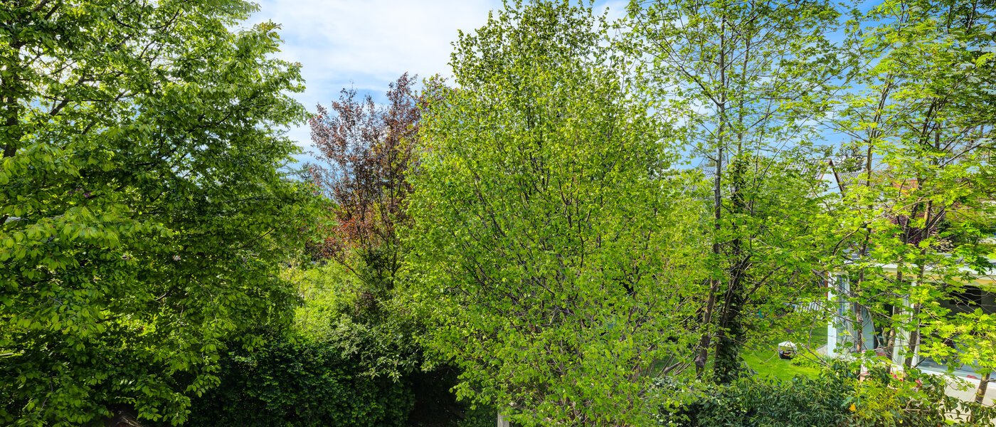 Sorház München Westpark 03 A  megtekintése 5296