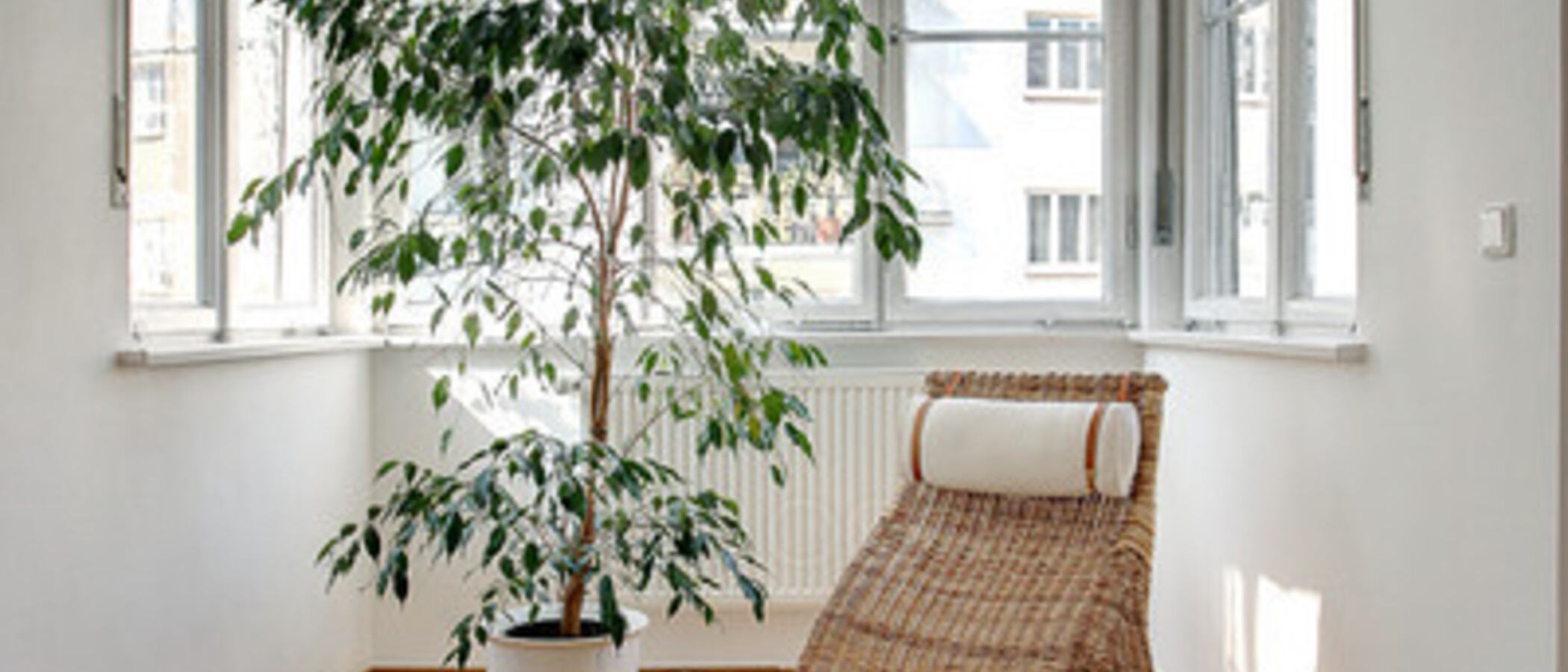 Ploché München Altbogenhausen 09 Living 5506