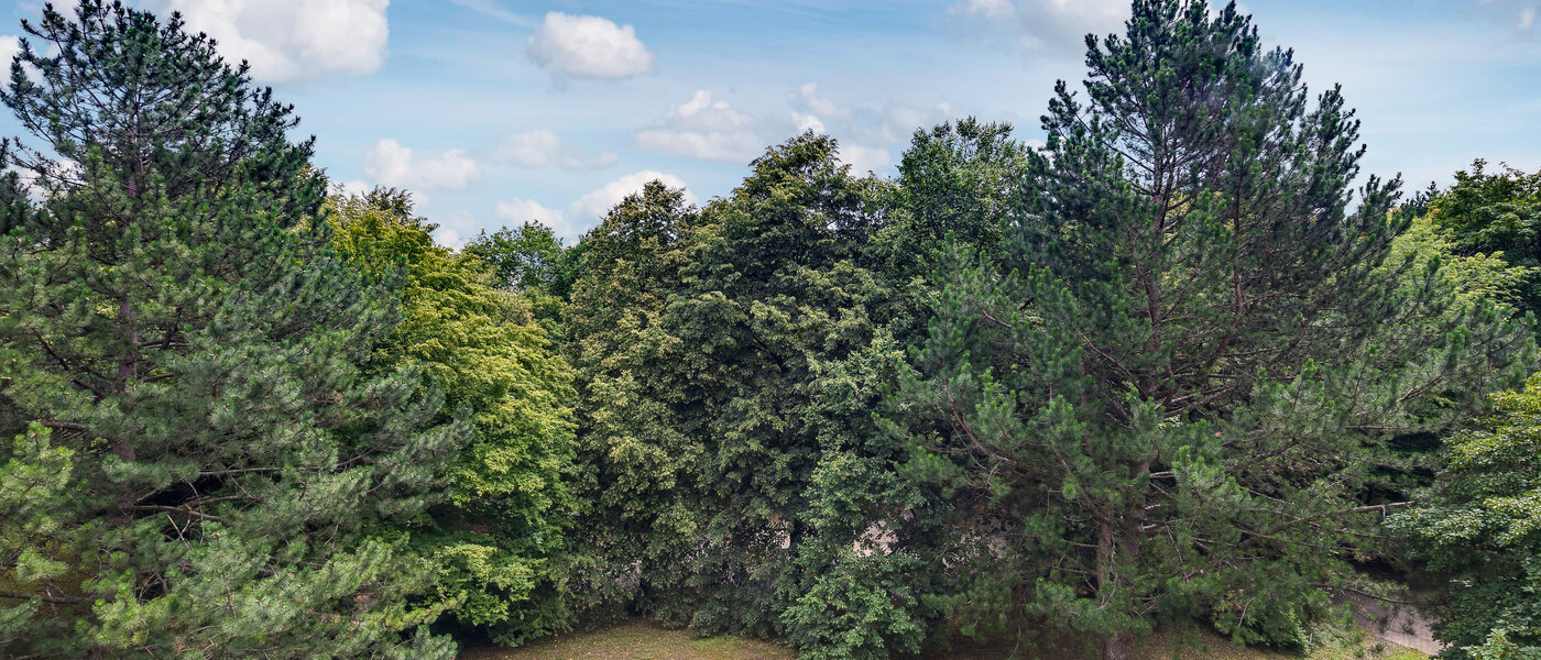 Płaski München Moosach 01 Widok 5951