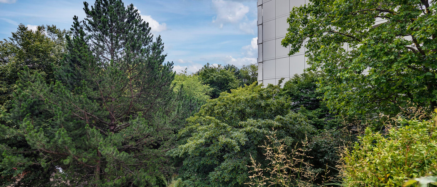 Płaski München Moosach 03 Widok 5951