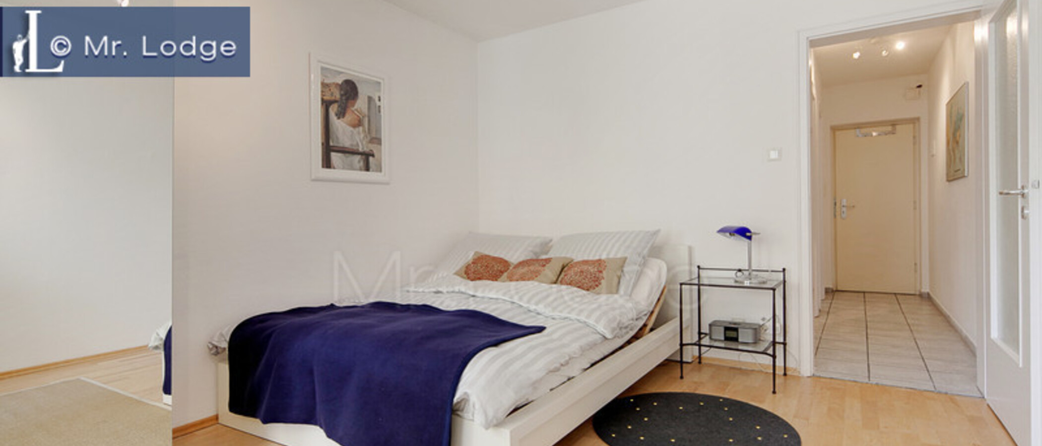 Flad München Maxvorstadt - Rund um den Josephsplatz 01 Sove 6106