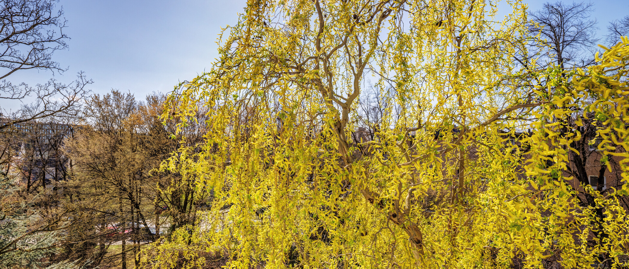 Ravna stran München Bogenhausen 03 Oglejte si 6213