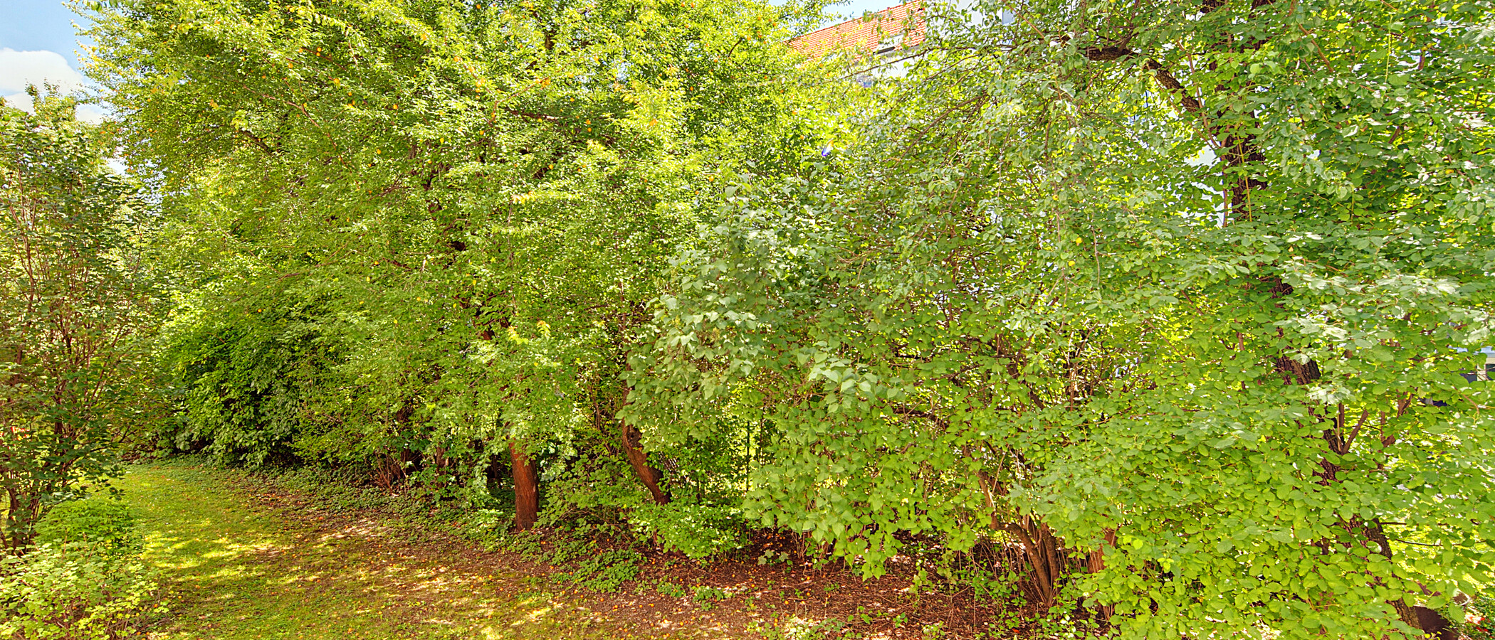 Ploché München Schwabing - Alte Heide 01 Zobrazit 6261