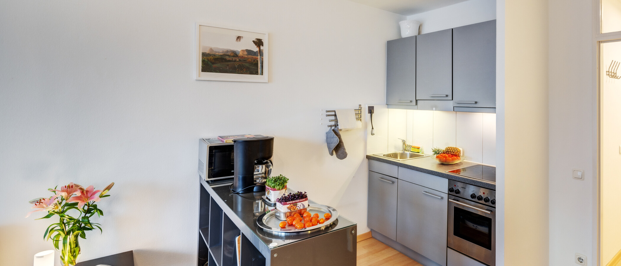 Flat München Schwabing-West 01 Kjøkken 6455