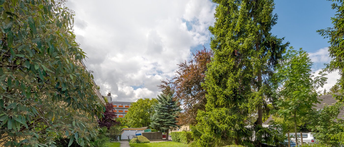 Platt München Milbertshofen 04 Gemensam trädgård 6551