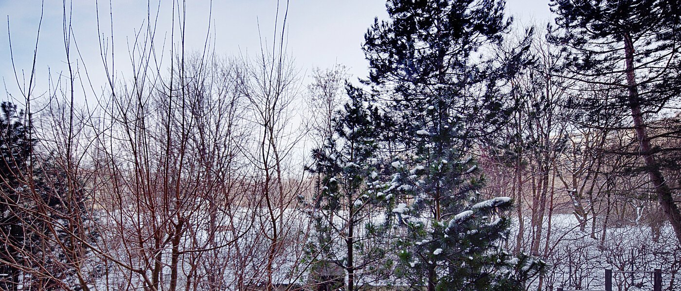 Ploché München Haidhausen 02 Zobraziť 6637