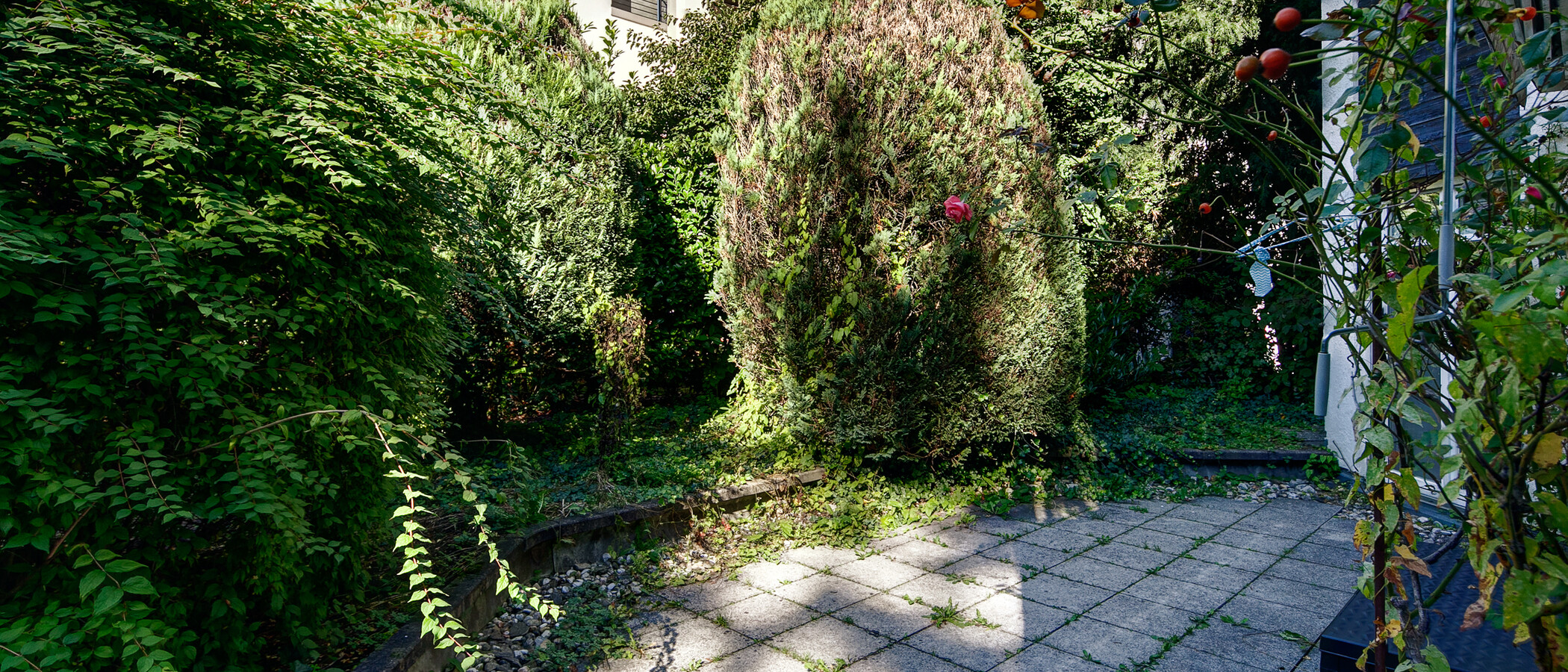 Ploché München Herzogpark 02 Terasa 673