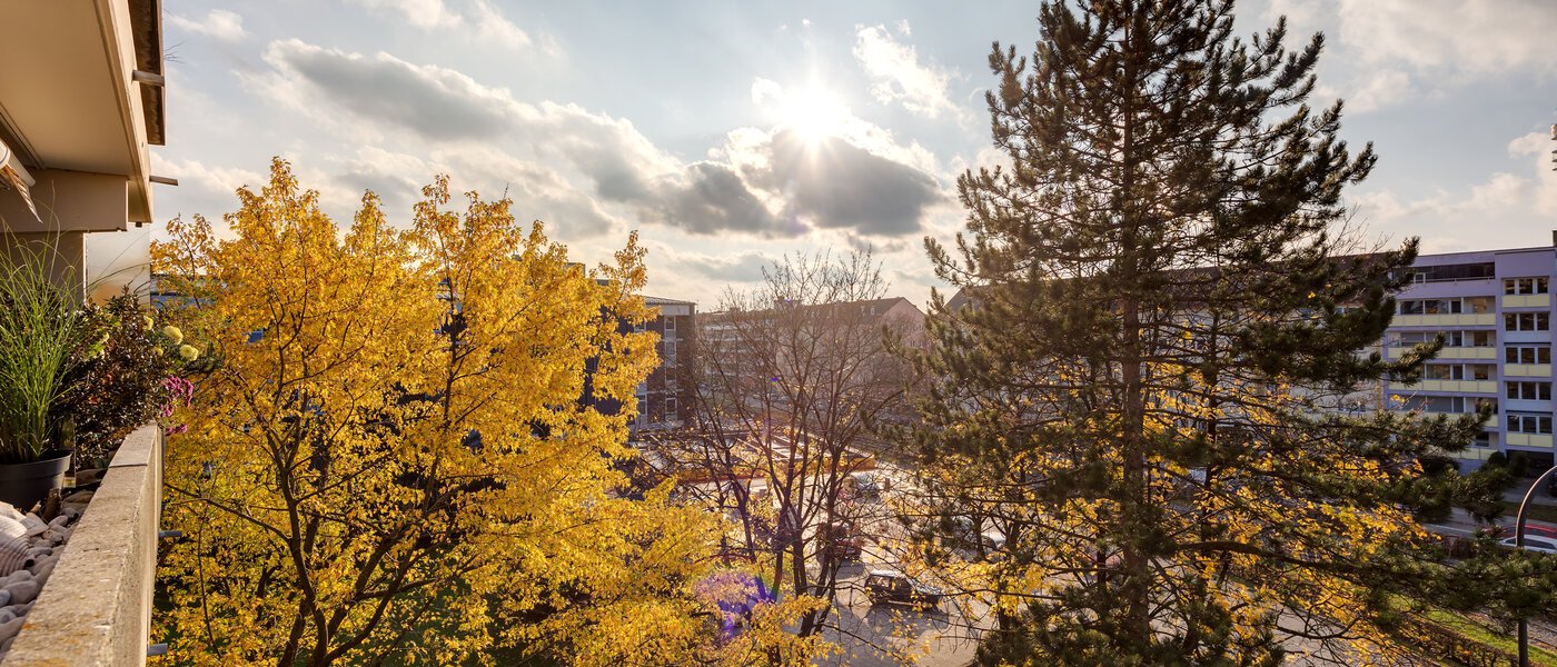 Плоский München Schwabing 02 Вигляд 7050