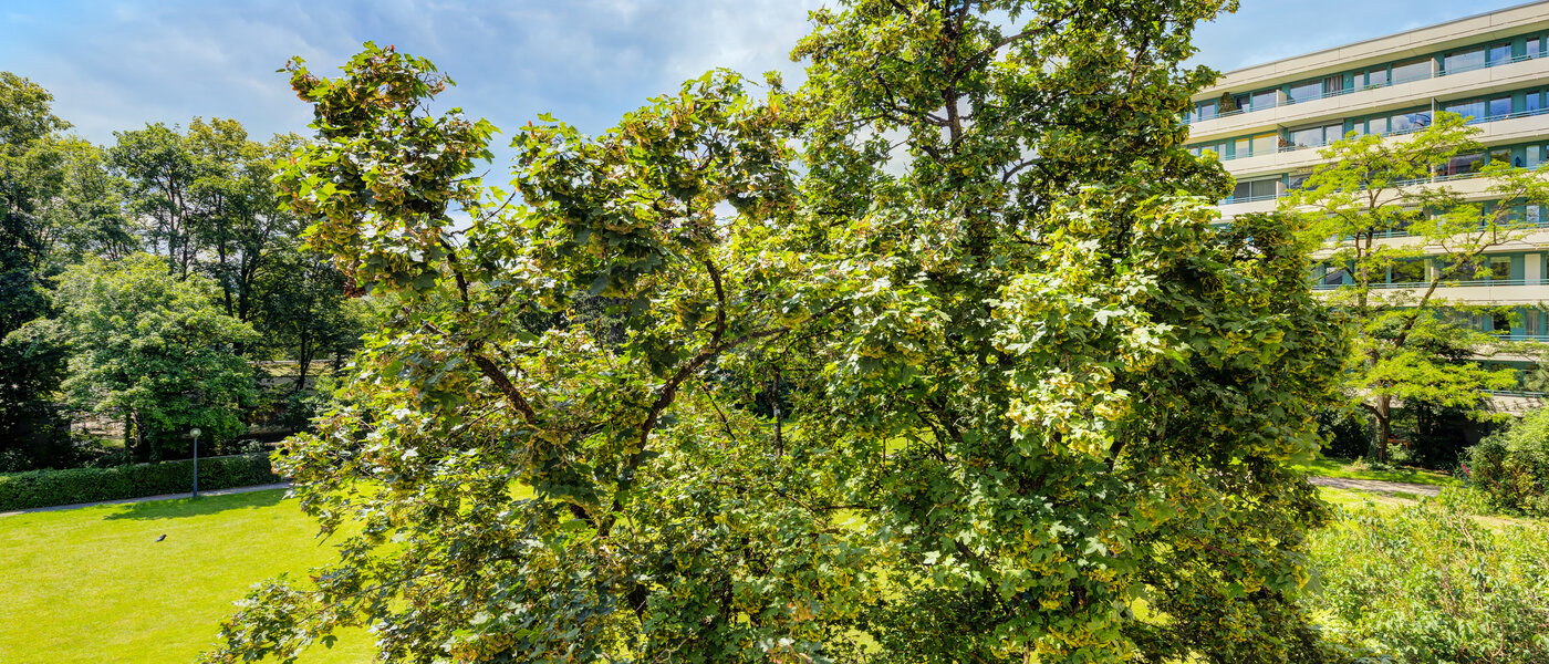 Flat München Mittersendling 02 Utsikt 7100