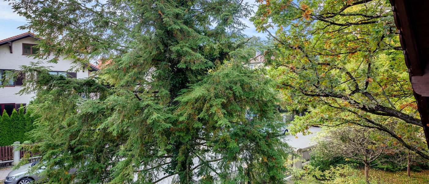 Platt München Pasing 03 Utsikt 7263