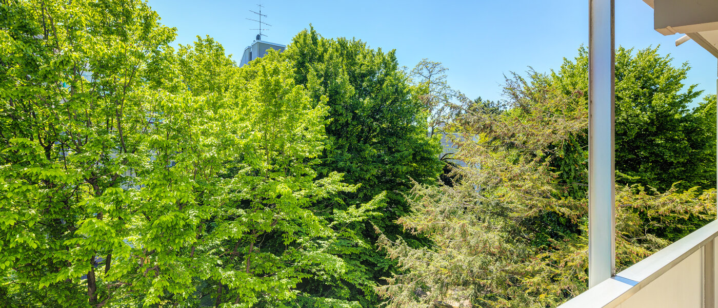 Lapos München Schwabing-Nord (zw. Leopoldstraße & Englischen Garten) 02 A  megtekintése 7670