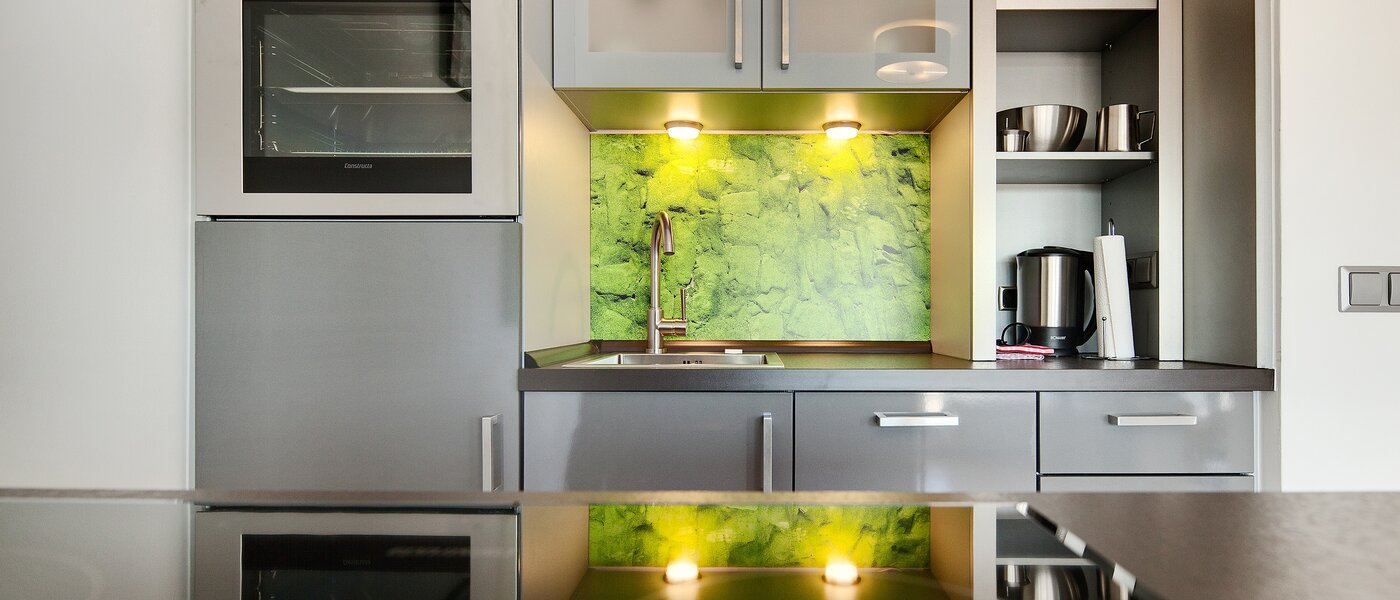 Stanovanje s strešno teraso München Schwabing-West (rund um den Hohenzollernplatz) 02 Kuhinja 7704