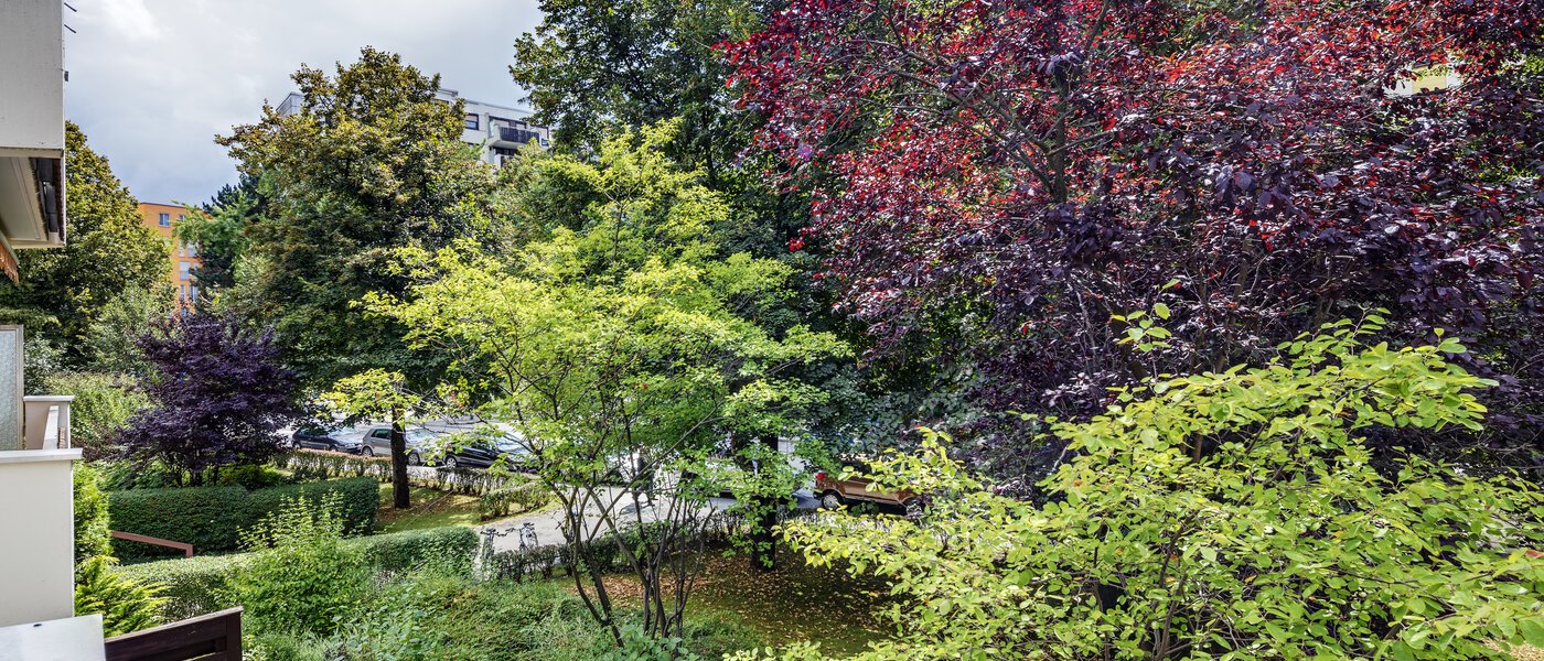 Ravna stran München Haidhausen 01 Oglejte si 7905