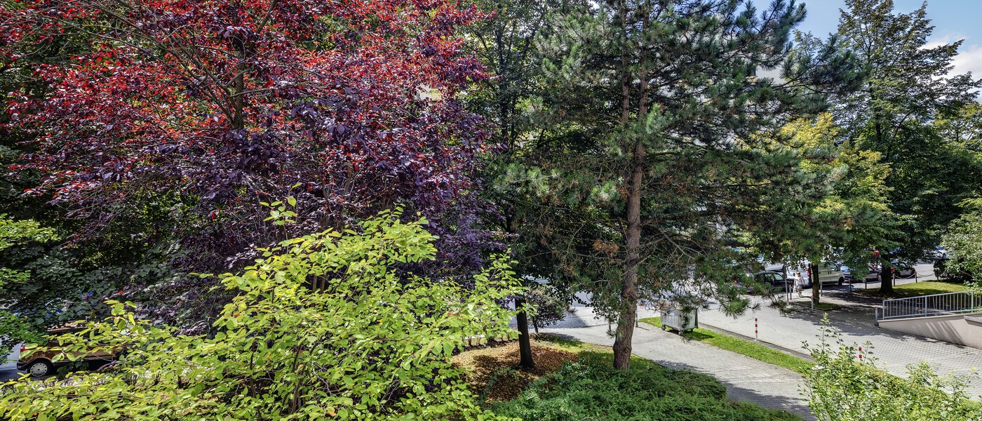 Ravna stran München Haidhausen 02 Oglejte si 7905