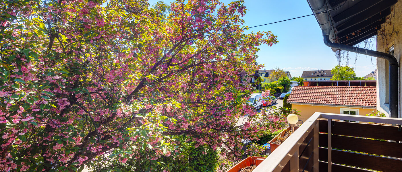 Ploché Haar 02 Zobraziť 7939