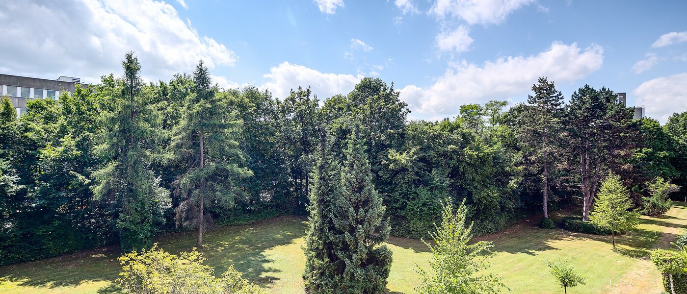 Platt München Obersendling 02 Utsikt 7983