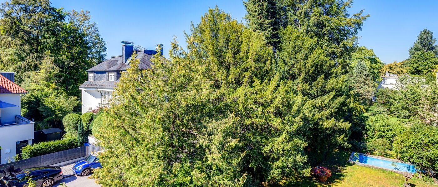 Çatı katı dairesi München Menterschwaige 01 Görünüm 8181