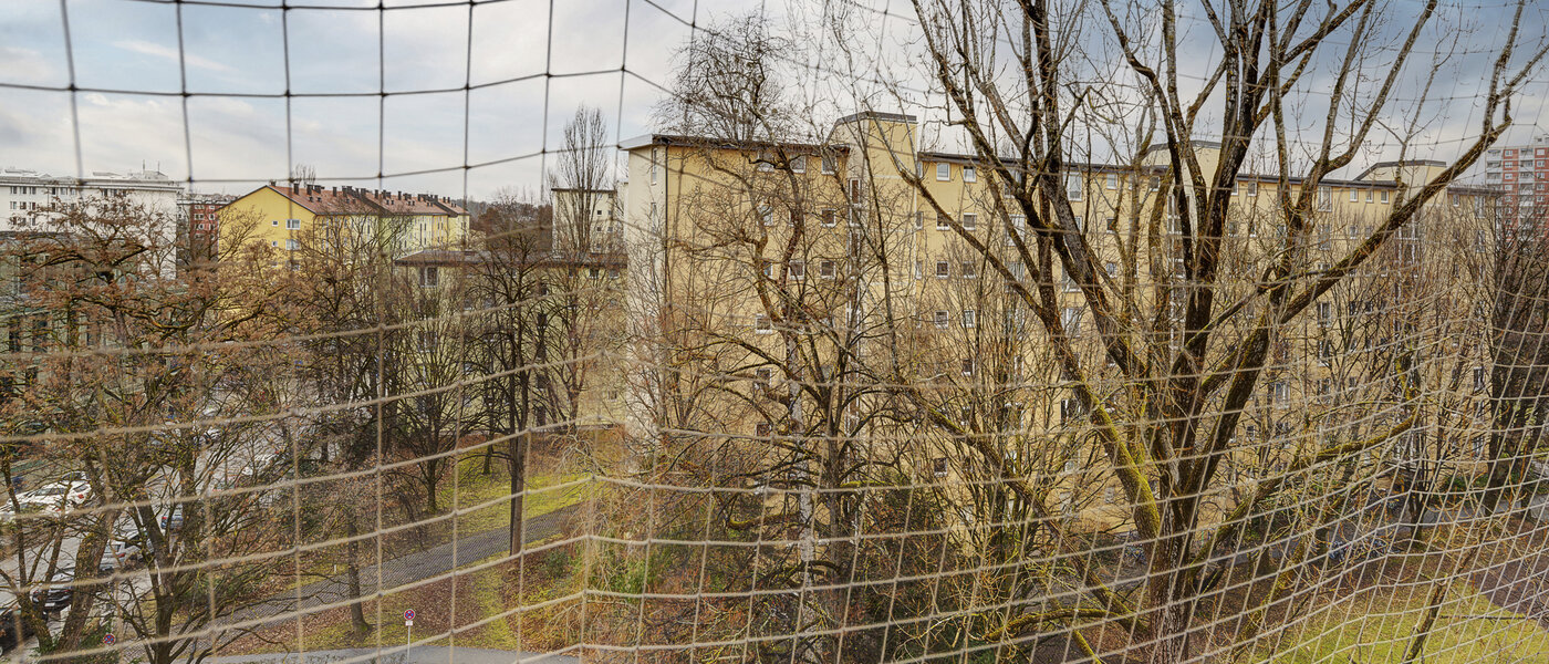 Płaski München Bogenhausen 02 Widok 8368