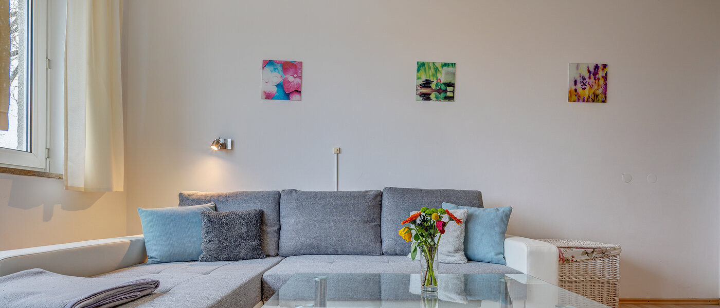 Płaski München Bogenhausen 02 Pokój dzienny 8368